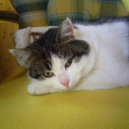 Apartment Temelerhof