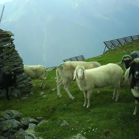 Lägenhet Temelerhof *