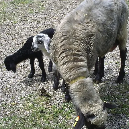 Apartament Temelerhof